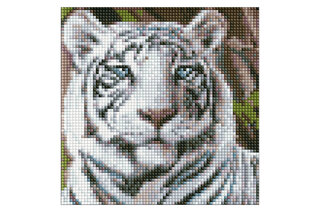 Набір з алмазною мозаїкою б/п "Бенгальський тигр" AMC7681 20х20см IDEYKA