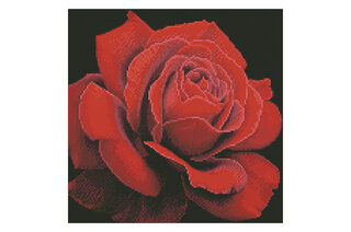 Набір з алмазною мозаїкою "Червона троянда" AMO7634 40х40см IDEYKA